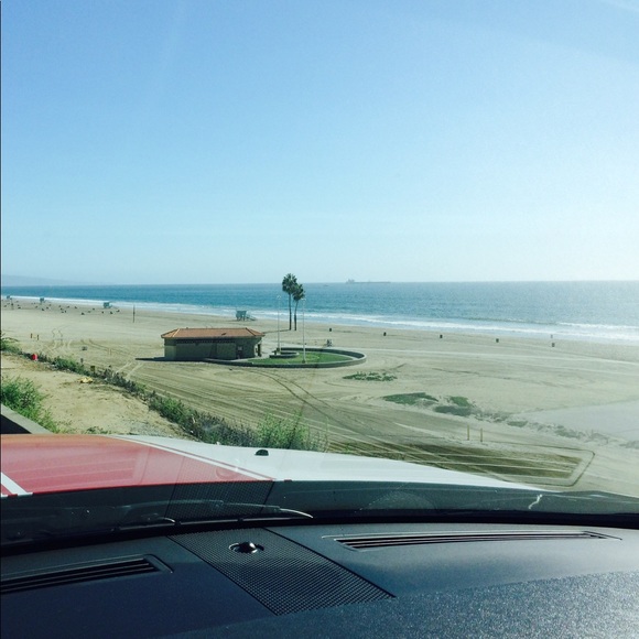 Meet your Posher, Xander - Picture 6 of 6